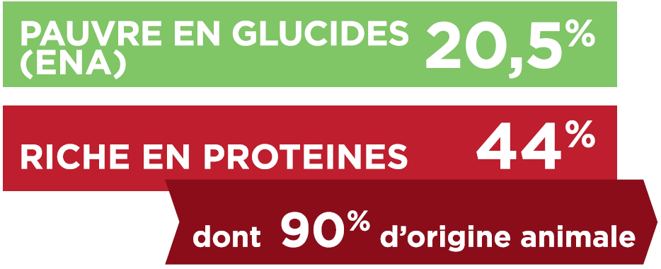 TX-GLUCIDES_PROTEINES.PNG