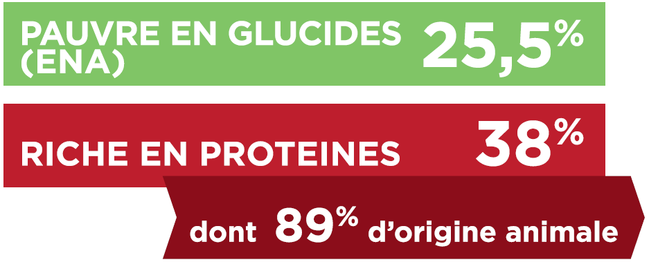 TX-GLUCIDES_PROTEINES.PNG