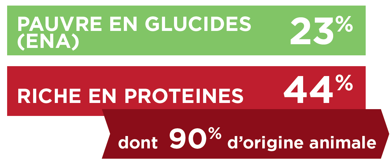 glucides-proteines.PNG