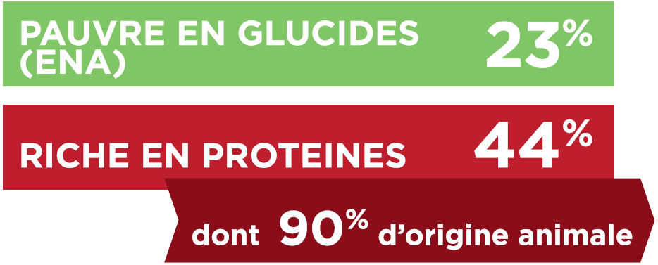 TX-GLUCIDES_PROTEINES.PNG