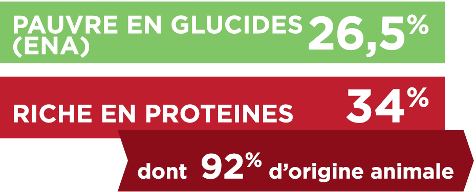 TX-GLUCIDES_PROTEINES (3)-1.PNG