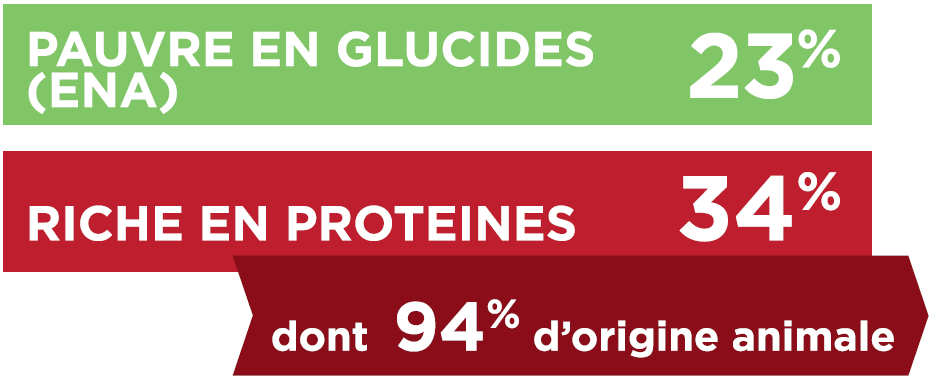 TX-GLUCIDES_PROTEINES (2).PNG