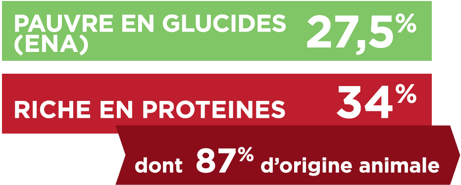 TX-GLUCIDES_PROTEINES.PNG