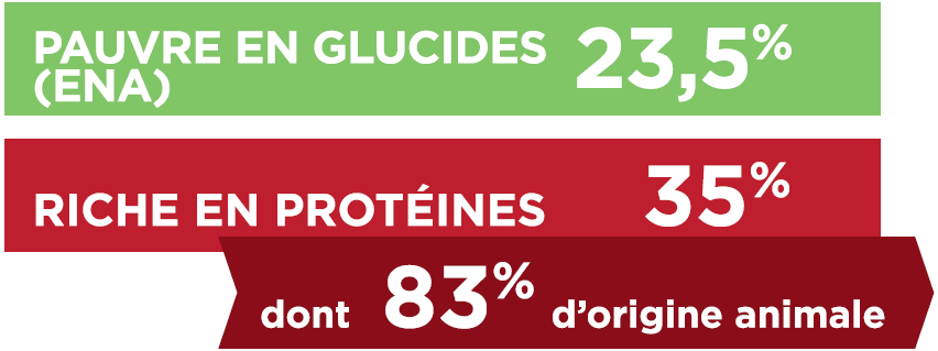 TX-GLUCIDES_PROTEINES.PNG