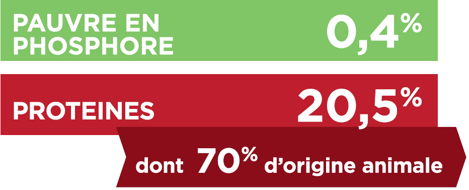 TX-GLUCIDES_PROTEINES (1).PNG