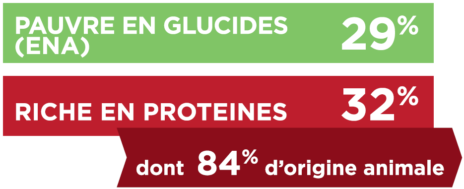 TX-GLUCIDES_PROTEINES.PNG