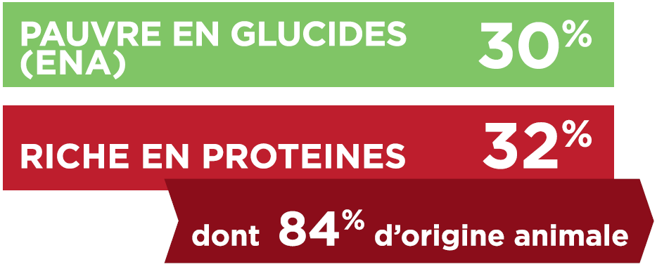 TX-GLUCIDES_PROTEINES.PNG